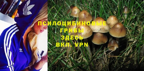 PSILOCYBIN Богородск